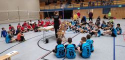 volleyball u12 fds001